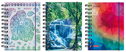 Preisvergleich Produktbild herlitz Schülerkalender Fun, 2018 2019, DIN A6 50015658