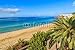 Produktbild Leinwand-Bild 80 x 50 cm: "Palm tree on Morro Jable beach promenade, Fuerteventura island", Bild auf Leinwand