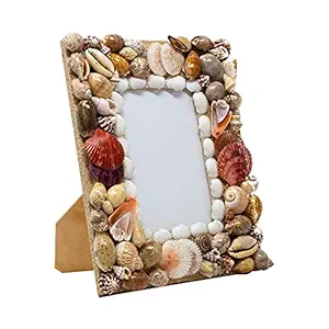 Nostaligia Homes Staggering Natural Multicolour Hues Shell Photo frame