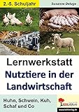 Lernwerkstatt Nutztiere in der Landwirtschaft: Huhn, Schwein, Kuh, Schaf und Co by