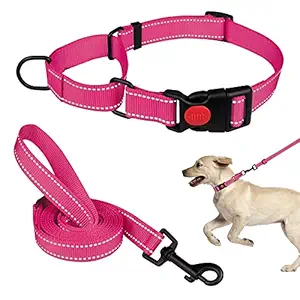 Martingale Dog Collar and Leash Set Martingale Collars for Dogs Reflective Martingale Collar for Small Medium Large Dogs(Hot Pink&S)