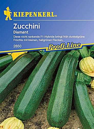 Zucchini Diamant grün