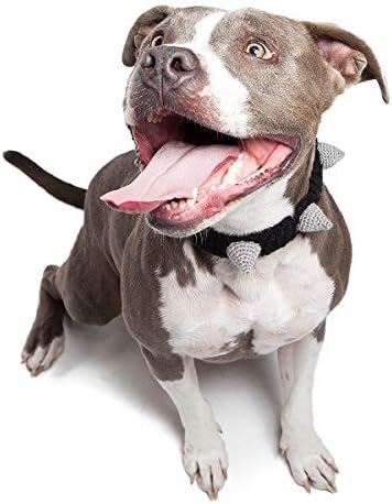 Zoo Snoods The Original Knit Spike Dog Collar, Large