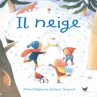 couverture de : Il neige