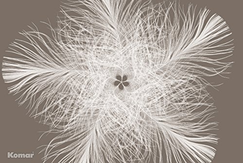 Federstern Photographic Wall Mural