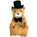 Produktbild TY Beanie Baby - PUNXSUTAWNEY PHIL 2004 the Groundhog (Chamber of Commerce Exclusive) by Beanie Babies