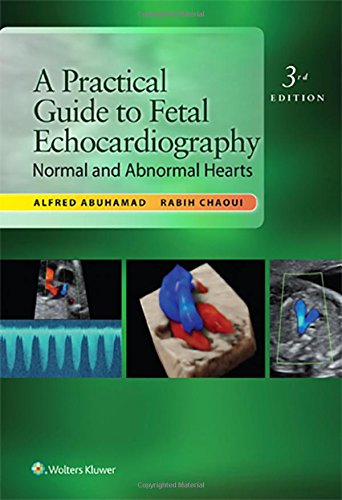Preisvergleich Produktbild A Practical Guide to Fetal Echocardiography