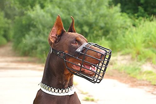Strong-Chrome-Semi-Check-Half-Choke-Chain-Dog-Choke-Collar-Metal-Choker
