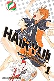 Haikyu!!, Vol. 1 by