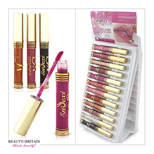 24 x LIPGLOSS SET 12 VERSCHIEDENE SCHATTEN DISPLAY GROSSHANDLE