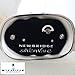 Irish Newbridge Silver Noahs Ark Music Box