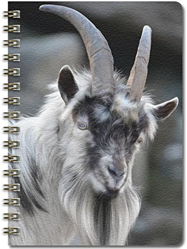 Ivy Mill Designs A5 Wiro Bound Notebook - Snowdonia Mountain Goat