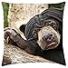 Produktbild beautytt Sad Bear - Throw Pillow Cover Case (18" x 18")