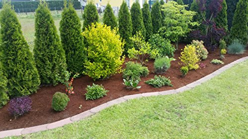 24 x 650 Gramm = 216 Liter Kokoshumus als Beetabdeckung – die Alternative zu Rindenmulch Humusziegel Kokosfaser Brikett Kokosfaserhumus Kokos Mulch Deko - 3