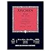 Produktbild Arches 1795109 Ölblock (für Ölfarben, Feinkorn 100% Baumwolle, 31 x 41 cm, 12 Blatt, 300g/m²) weiß
