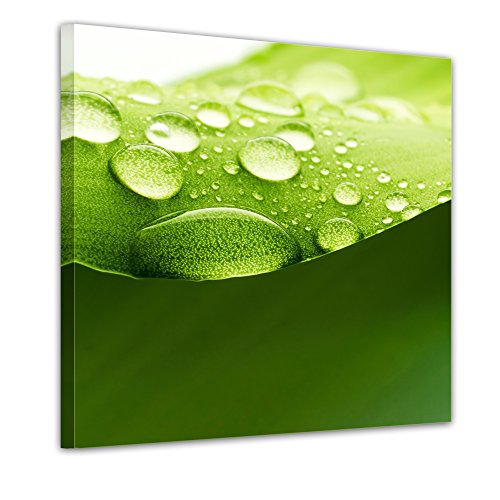 Wandbild – Set Pflanzen – 4teilig – je 20x20cm – Kunstdruck – eigene Herstellung - 2