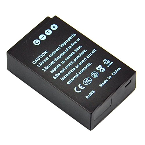 DSTE 2-pack Rechange Batterie et DC125E Voyage Chargeur pour Nikon EN-EL20 Coolpix A Nikon 1 J1 Nikon 1 J2 Nikon 1 J3 Nikon 1 AW1 Nikon 1 S1 Nikon 1 V3