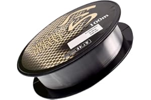 Guangcailun Pêche à la Ligne Spool extérieure Mer cping rivière étang de pêche en Nylon Fil Pêche Accessoire, Transparent, Taille 0.4