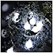 Price comparison product image Lishy 20 LED Waterproof Fairy String Lights, Metal Ball Shaped Fascinating Multi-functional Copper Indoor/Outdoor Curtain Wire Lights Lamp for Homes, Christmas Party, Wedding, Festive Decor (White)