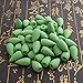 Produktbild DyNamic 50Pcs/Bag Backflow Räucherstäbchen Cones Sandalwood Jasmin Lily Lavender Mixed Duft Burner Censer Cone - Grüner Tee