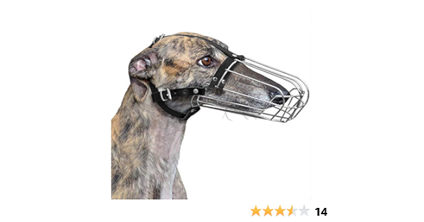 greyhound muzzle amazon