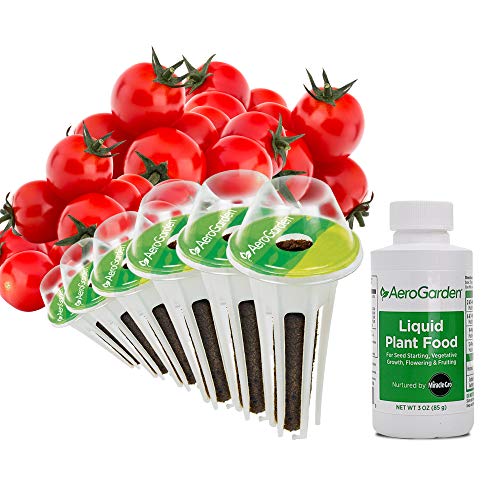 AeroGarden - Kit cápsulas semillas de tomate cherry autóctono, 6 cápsulas