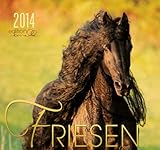 Friesen 2014 Kalender - Friesen Pferde - 62x58 cm by
