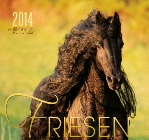 Friesen 2014 Kalender - Friesen Pferde - 62x58 cm