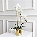 Produktbild LIXIAOXIN Schmetterling Orchidee Simulation Wohnzimmer Set Eingemauert Dekoration Dekoration Weiß A