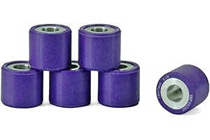 NTT Galet VARIATEUR TNT MAXISCOOTER 19X17 8,5G Adapt. Piaggio X8 / X9 125 / MP3 125 / Fly 125 4T / Liberty 125