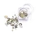 Sindy 1 Box Ultra-thin 3D Nail Decorations Time Wheel Steam Punk Style Metal Manicure Nail Art Decoration (Copper)