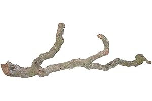 Lucky Reptile DLT-M Tronchos Rami, 90-120 cm