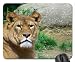 Produktbild Löwe Mauspad, Mousepad (Katzen Mauspad) #001