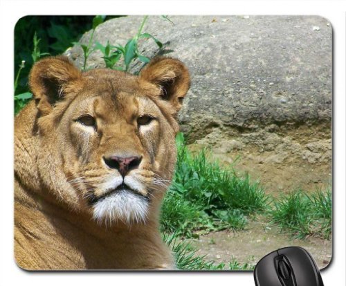 Preisvergleich Produktbild Löwe Mauspad, Mousepad (Katzen Mauspad) #001