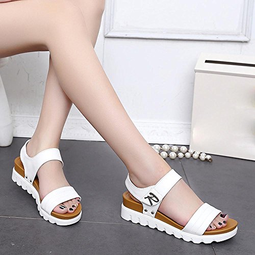 Damen Sommer Sandalen Xinan im Flachen Sandalen Bequeme Damenschuhe (40, Weiß) - 6