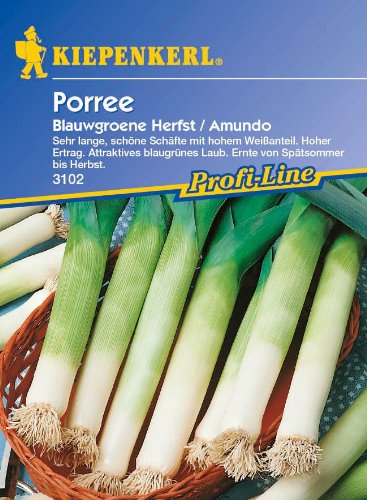 Preisvergleich Produktbild Porree, 'Amundo'
