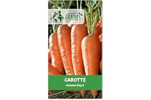 PLANETE GRAINES 1000 graines de carotte automne hiver king 2 - -Idéal cuisine et stockage - Racines levées tardives - Variété large et très apprécié