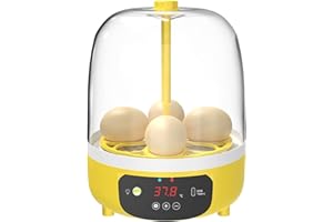 Srliya Mini Incubadora de Huevos Automática Integral con Control de Temperatura y Humedad para Niños 18 X 13,7 Cm (S)