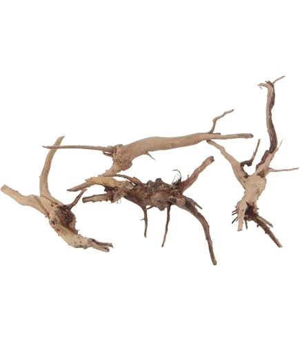 thumbnail interactive-video image 1 of Bonsai Driftwood Aquarium Tree - 5 Inch Natural Handcrafted Fish Tank Decoration For Aquascaping 1 of 13