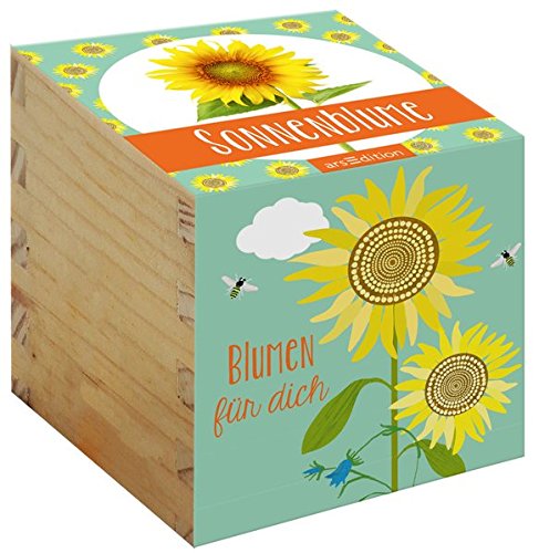 Preisvergleich Produktbild Blumensamen in Holzkiste