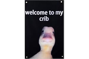 BOXOB Welcome to My Crib, 2x3ft Double Printed Funny Flag Vibrant Colors Crib Banner with 4 Shiny Brass Grommets for Tapestry Dorm Room Home College Decor