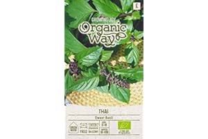 Organic Way | THAI CON ALBAHACA DULCE de Seeds | Albahaca Semillas | Semillas de hierbas | Semillas de plantas | Semillas de jardín | 1 paquete
