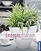Energiepflanzen für mein Zuhause (Mein Garten) by Irmgard Brottrager