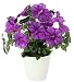 Produktbild Flair Flower Petunienbusch Im Topf, Polyester, Kunststoff, Lavender, 26 x 26 x 30 cm