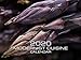 2020 Modernist Cuisine Calendar by