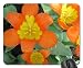 Produktbild Sunny Spring Day Mauspad, Mousepad (Blumen Mauspad) #029