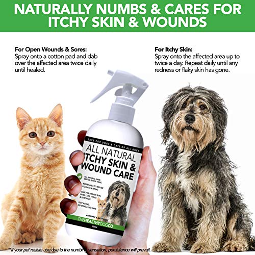 Spray-Pour-Le-Traitement-Des-Dmangeaisons-Et-Des-Plaies-Pour-Chiens-Chats-Entirement-Naturel-Soin-Cutan-Anti-Dmangeaisons-Apaise-Les-Dmangeaisons-Les-Lsions-Cutanes-Et-Les-Plaies