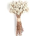 Lot de 30 véritables fleurs de coton séchées avec tige, 30 cm - Maison Lot de 30 véritables fleurs de coton séchées avec tige, 30 cm - Maison