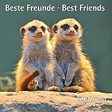 Image de Beste Freunde Best Friends 2018 - Broschürenkalender - Wandkalender - mit herausnehmbarem Poster -