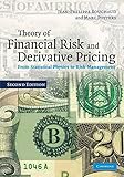 Theory of Financial Risk and Derivative Pricing: From Statistical Physics to Risk Management by Jean-Philippe Bouchaud